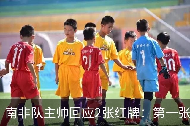 南非队主帅回应2张红牌：第一张无异议 第二张量刑过重